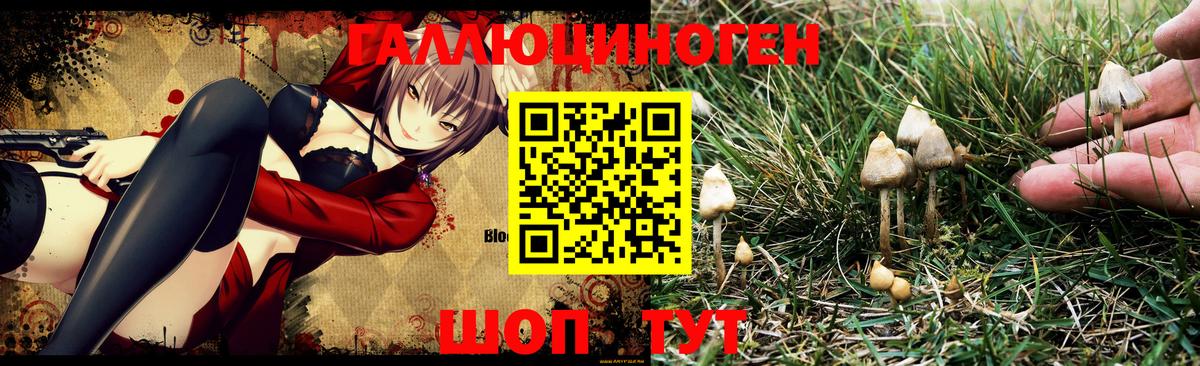 Чита  Галлюциногенные грибы ЛСД  Вход с VPN 